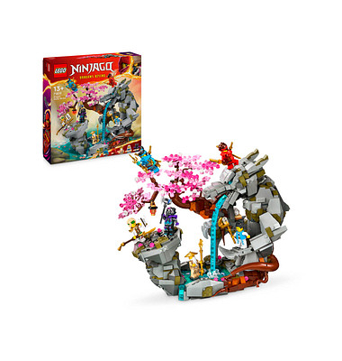 NINJAGO 71819 Drachenstein-Tempel Bausatz