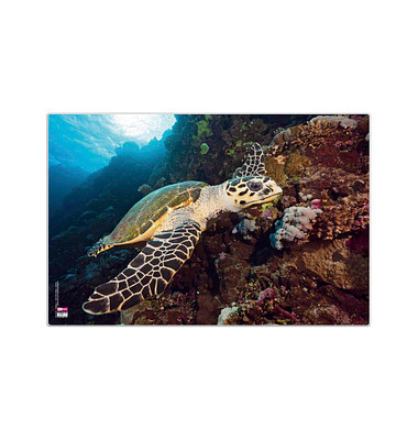Schreibtischunterlage Kunststoff Schildkröte