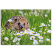 Schreibtischunterlage Kunststoff Igel