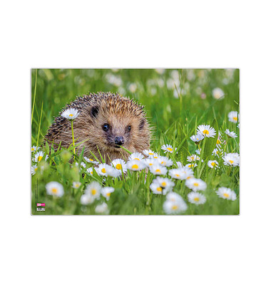 Schreibtischunterlage Kunststoff Igel