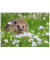 Schreibtischunterlage Kunststoff Igel