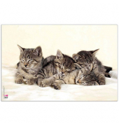 Schreibtischunterlage Kunststoff Katzen