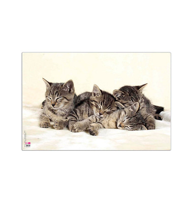 Schreibtischunterlage Kunststoff Katzen Schreibtischunterlage Kunststoff Katzen