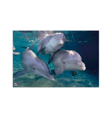 Schreibunterlage 4651100 Delfine Delfine 60x40cm