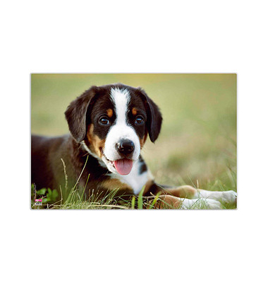 Schreibunterlage 4651113 welpe Welpe 60x40cm