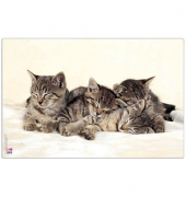 Schreibtischunterlage Kunststoff Katzen
