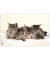 Schreibunterlage 4651114 Katzen Katzen 60x40cm