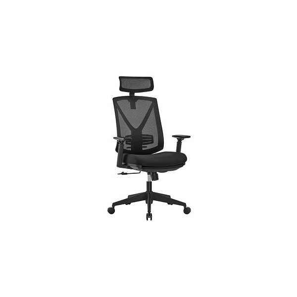 0194343014531 - Songmics - Ergonomischer Bürostuhl mit Fußstütze Schreibtischstuhl mit Lordosenstütze verstellbare Kopfstütze und Armstütze Höhenverstellung und 0194343014531 - Songmics - Ergonomischer Bürostuhl mit Fußstütze Schreibtischstuhl mit Lordosenstütze verstellbare Kopfstütze und Armstütze Höhenverstellung und