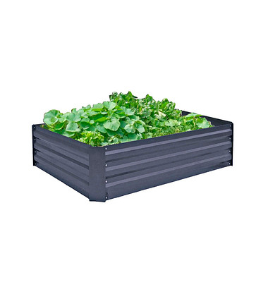 Frühbeet BOTANIKA Metall anthrazit rechteckig  120,0 x 30,0 cm