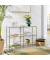 Konsolentisch LGT27G, 73cm (H), 100x30cm (BxT), rechteckig, glasklar / gold