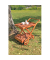 Servierwagen Toledo braun 54,0 x 88,0 x 80,0 cm