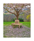 Gartenbank Java 940149 natur Holz 150,0 cm