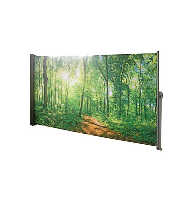 Seitenmarkise Waldlichtung mehrfarbig 160,0 x 300,0 cm