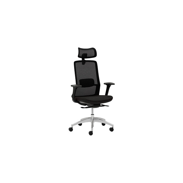 Mayer Bürostuhl , schwarz / silber, mit Armlehnen, bis 120kg, mit Kopfstütze 4032376550533 Mayer