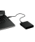 externe Festplatte Elements Portable WDBU6Y0015BBK-WESN, schwarz, 2,5 Zoll (6,35cm), 1,5 TB, HDD