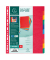 Kartonregister 2410E, 10-teilig blanko, A4+, 225 g/m², farbige Taben, 10-teilig
