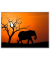 Wandbild Elefant 1CCF60X80.35.07C