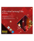 138er LED-Lichtervorhang
