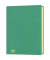 Ordnungsmappe 4618-5, 20-teilig blanko, gr&uuml;n, A4, 20 F&auml;cher