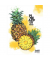 Zeichenmappe Ananas 46317, Chromo-Duplexkarton 500g