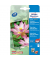 Fotopapier Premium C2553-40, 10x15cm, für Inkjet, 300g weiß hochglänzend einseitig bedruckbar
