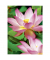 Fotopapier Premium C2553-40, 10x15cm, für Inkjet, 300g weiß hochglänzend einseitig bedruckbar