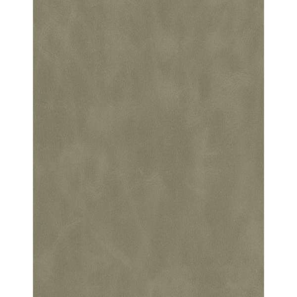 4014296215761 - Bürodrehstuhl Sitness Life 200 hellgrau mit Armlehnen bis 110kg 4014296215761 Topstar