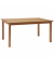 Gartentisch Calea L8657 150x90cm