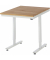 RAU Arbeitstisch 750x1000x720-1120 elektrisch B-Platte 25mm l.gr
