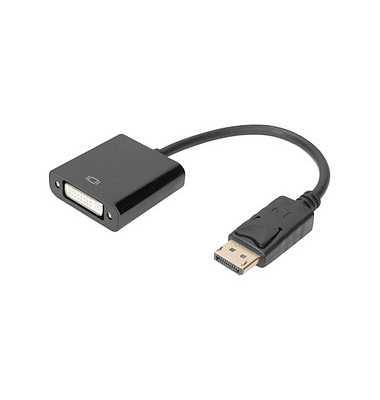AK-340401-001-S  DVIDisplayPort Adapter