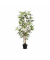 Kunstpflanze Bambus 52,0 x 160,0 cm (BxH)