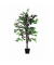Kunstpflanze Feigenbaum 100,0 x 120,0 (BxH)