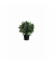 Kunstbaum Lorbeerbaum 40,0 x 50,0 cm (BxH)