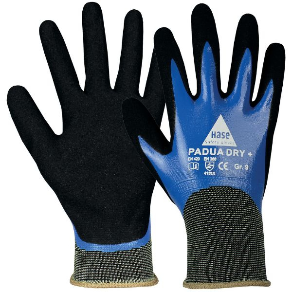 0000040189512 - Padua Dry + Handschuh Hase Größe 11 10 Paar 0000040189512 0000040189512 - Padua Dry + Handschuh Hase Größe 11 10 Paar 0000040189512