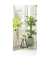 Beistelltisch 54955, 43cm (H), 35x35cm (BxT), rund, akazie / schwarz