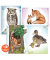Wildtiere Durchpaus Bastelbuch
