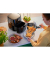 Airfryer Essential HD925270 Heißluftfritteuse