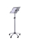 Stehpult ECO, höhenverstellbar 105-145cm (H), 62x62cm (BxT), rechteckig, grau / silber