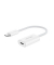  USB CLightning Adapter