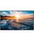 QH75B UHD-Display 189,0 cm (75,0 Zoll)