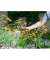 Gartenschlauch Performance Plus 20,0 m