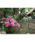 Gartenschlauch Performance Premium 20,0 m