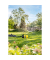 Gartenpumpe BP 6.000 GARDEN SET