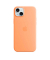 Handy-Cover für Apple iPhone 15 Plus orange
