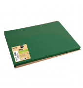 500 PROnappe Platzsets Tiss Lack grün 30,0 x 40,0 cm