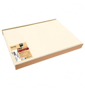 100 PROnappe Platzsets beige 30,0 x 40,0 cm