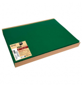 100 PROnappe Platzsets grün 30,0 x 40,0 cm