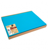 100 PROnappe Platzsets türkis 30,0 x 40,0 cm