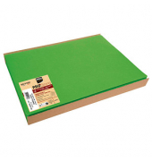 100 PROnappe Platzsets grün 30,0 x 40,0 cm