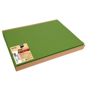 100 PROnappe Platzsets grün 30,0 x 40,0 cm